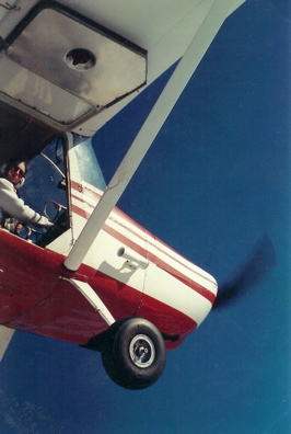 Darlene Kellner commercial pilot